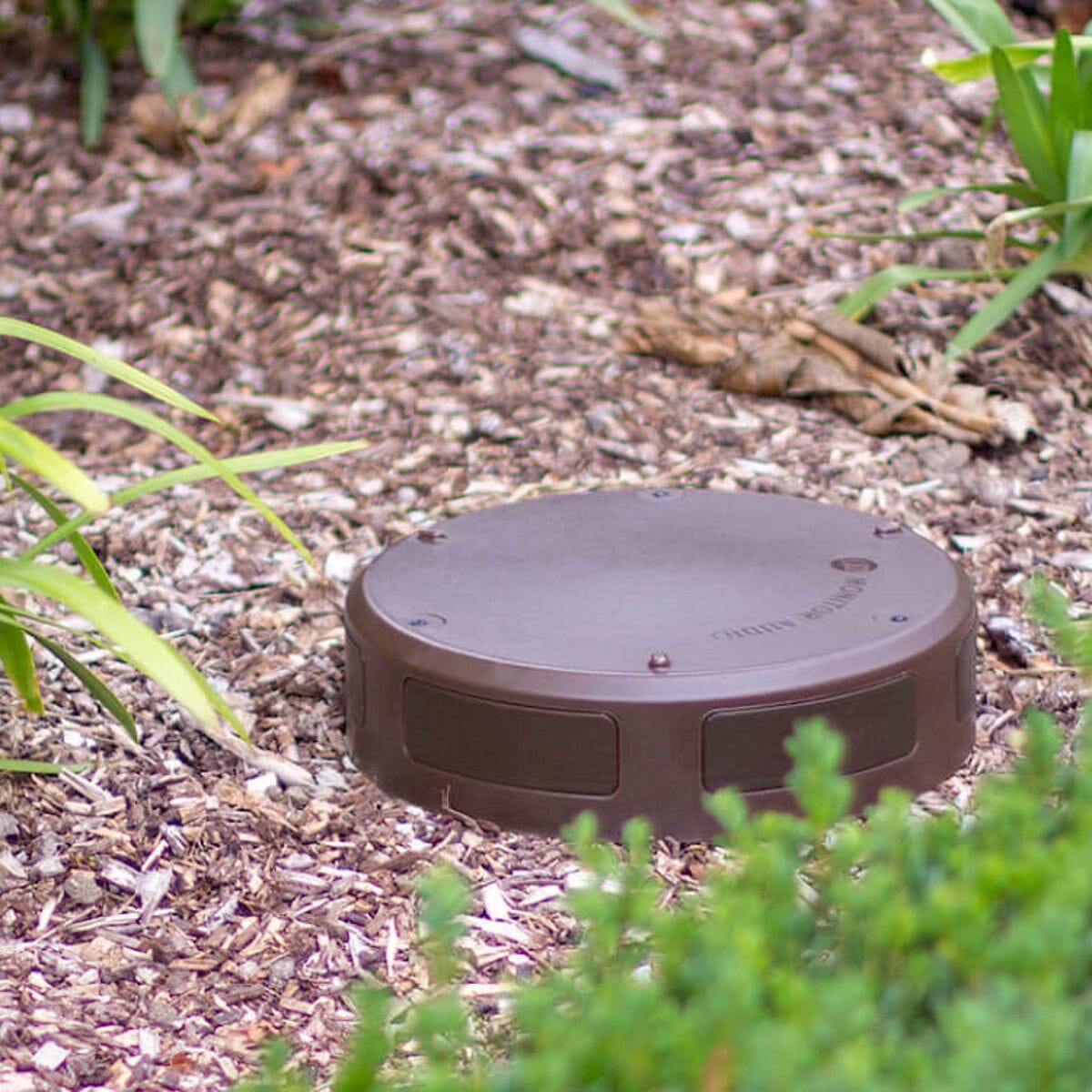 Monitor Audio CLG-W10 10" Outdoor Subwoofer - K&B Audio