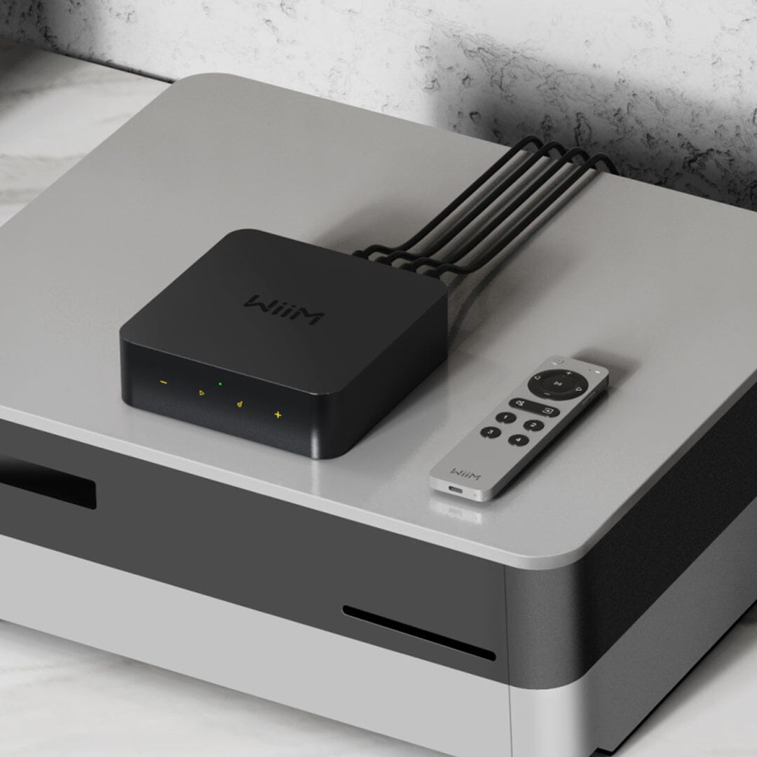 WiiM Voice Remote 2 - K&B Audio