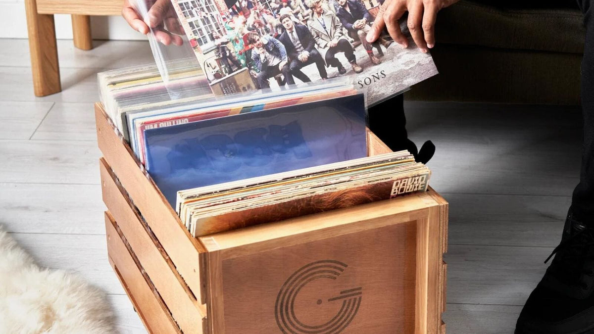 Vinyl Record Storage