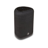 Bluesound PULSE FLEX Compact Wireless Hi-Res Speaker - K&B Audio