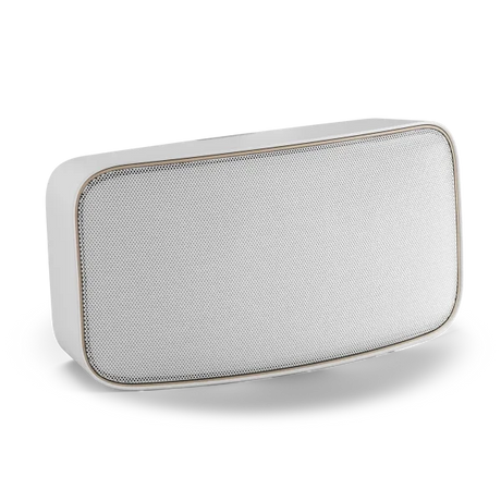 WiiM AMP Wi-Fi & Bluetooth Amplifier + DALI Gardian OW 6 6.5" Outdoor Speakers - K&B Audio