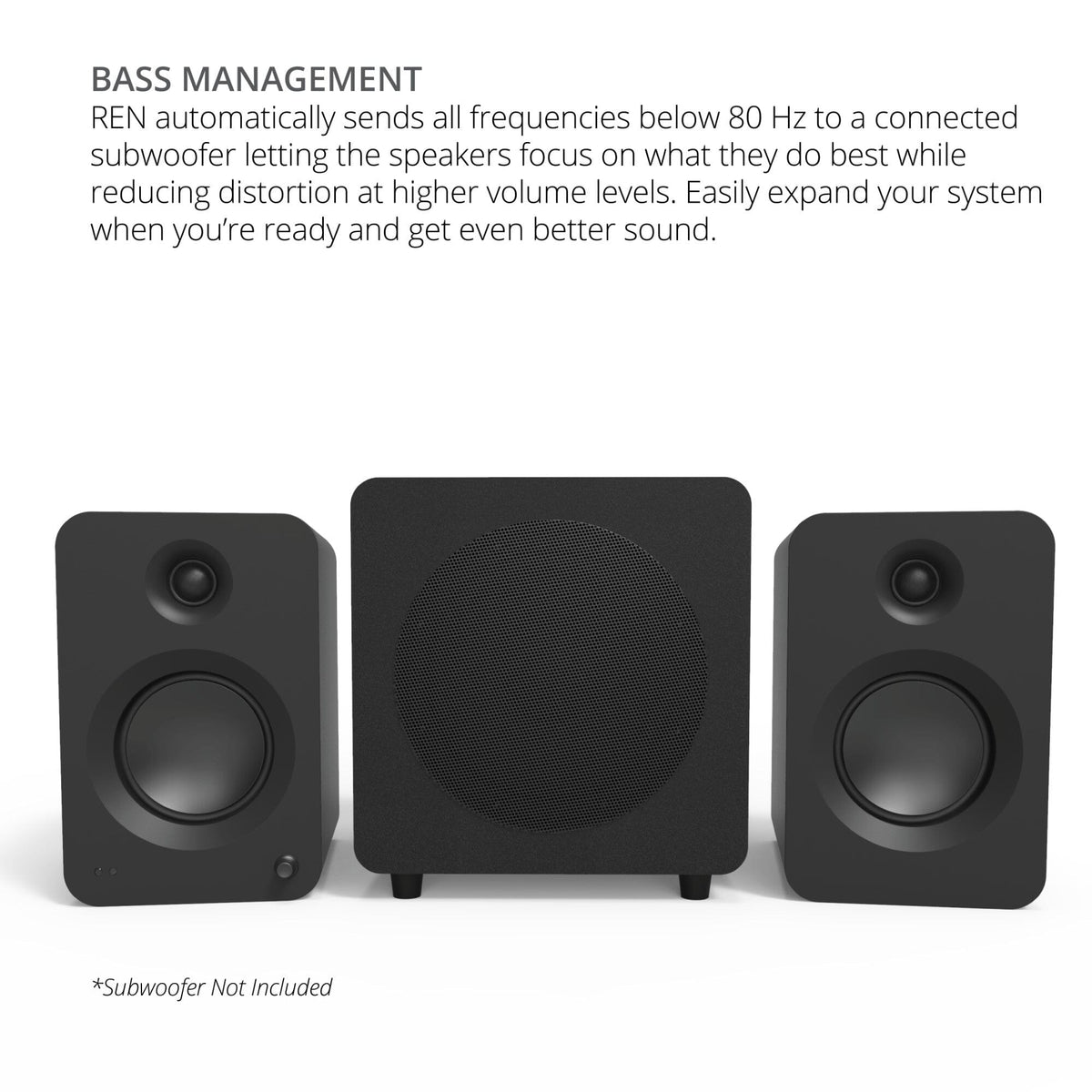 Kanto REN 100W Active Bookshelf Speakers with HDMI & Bluetooth - K&B Audio