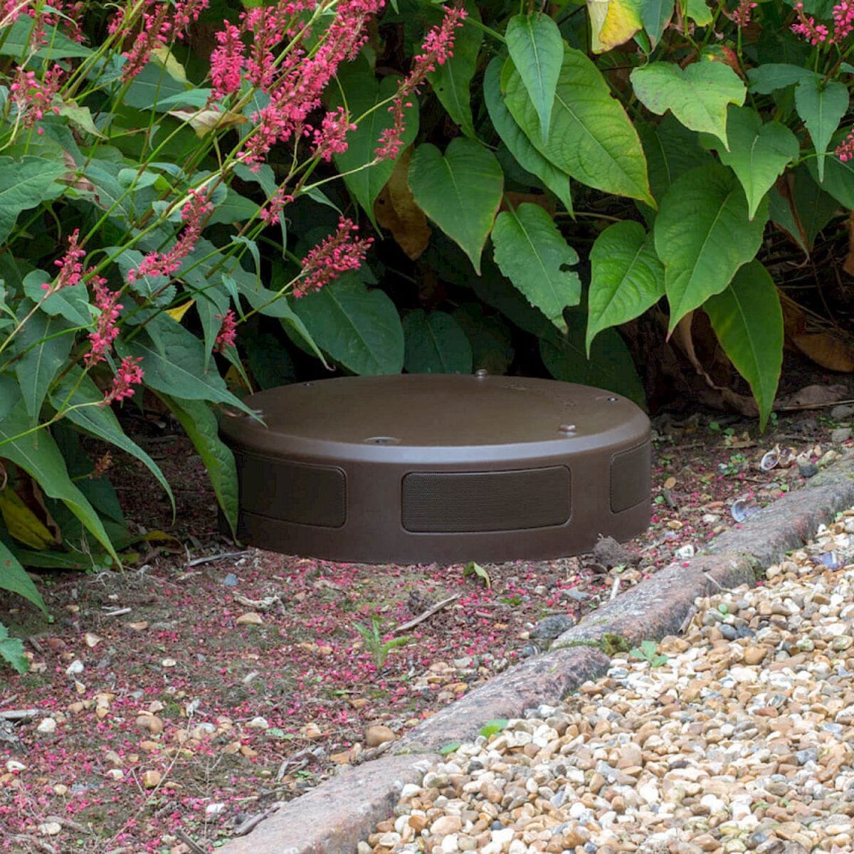Monitor Audio CLG-W10 10" Outdoor Subwoofer - K&B Audio