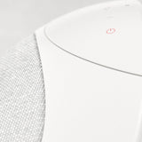 Pantheone I Active WiFi Speaker with Airplay 2 & Alexa - K&B Audio