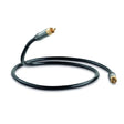 QED Performance Subwoofer Cable - K&B Audio