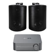 WiiM AMP Wi-Fi & Bluetooth Amplifier + Elipson RAIN 6.5" Outdoor Speakers (Pair) - K&B Audio