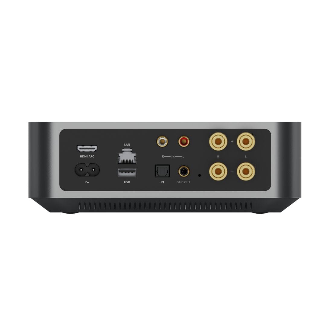 WiiM AMP Wi-Fi & Bluetooth Amplifier + DALI Gardian OW 6 6.5" Outdoor Speakers - K&B Audio