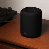 WiiM Sound Lite Wi-Fi Speaker WiFi Speakers WiiM 