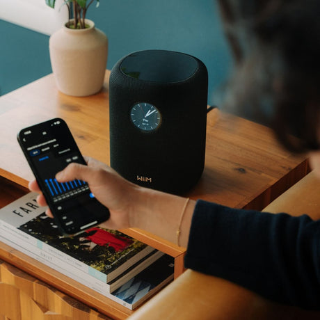 WiiM Sound Speaker - WiFi Multiroom WiFi Speakers WiiM 