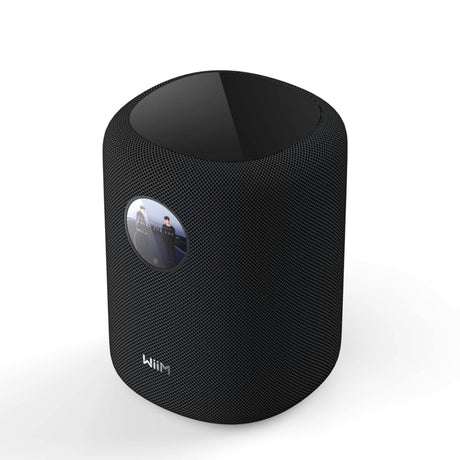 WiiM Sound Speaker - WiFi Multiroom WiFi Speakers WiiM Black 