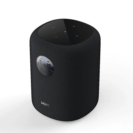 WiiM Sound Wireless Speaker - K&B Audio
