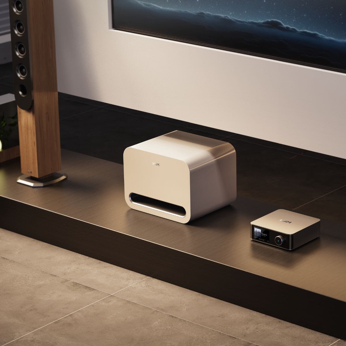 WiiM Sub Pro Wireless Subwoofer - K&B Audio
