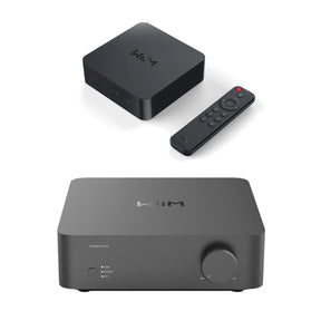 WiiM VibeLink Amp + WiiM Pro Plus Wi-Fi Streamer Bundle - K&B Audio