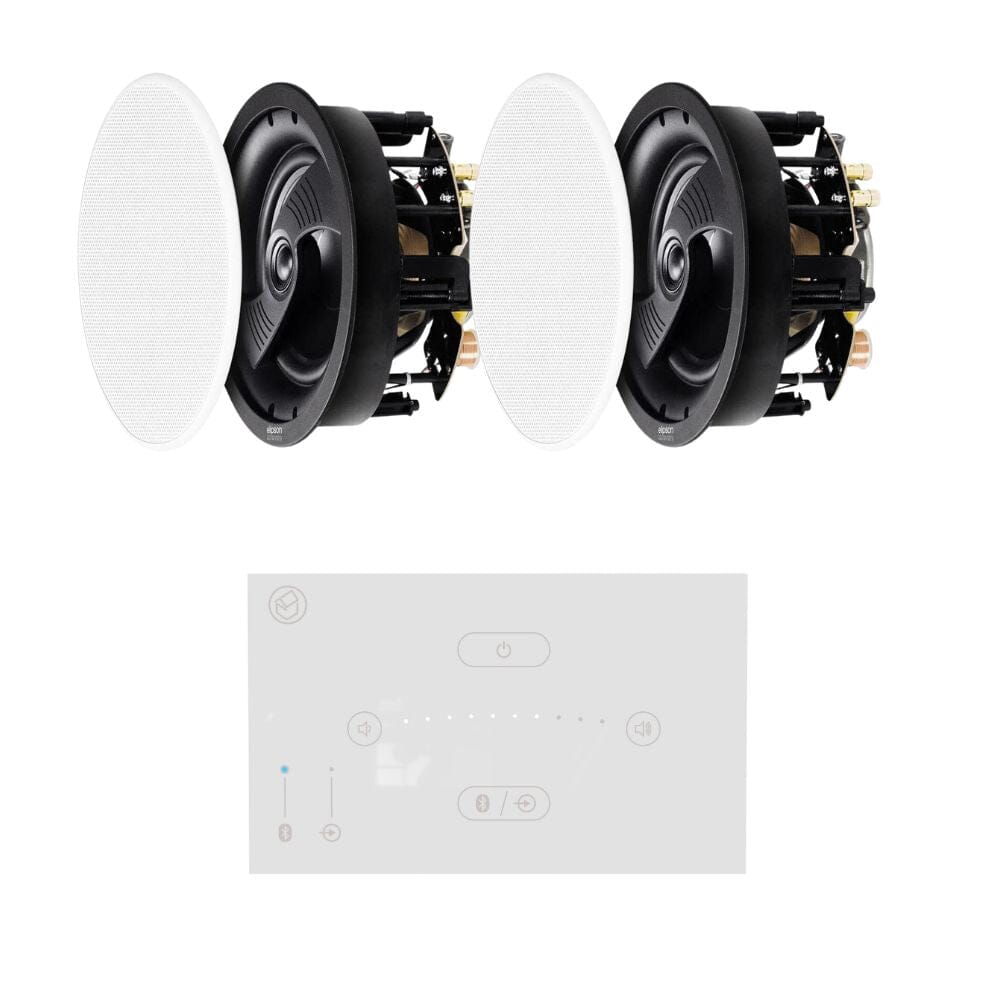 Systemline shop ceiling speakers